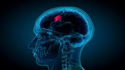 Bước tiến mới trong điều trị loại ung thư nguy hiểm hàng đầu ở trẻ em
