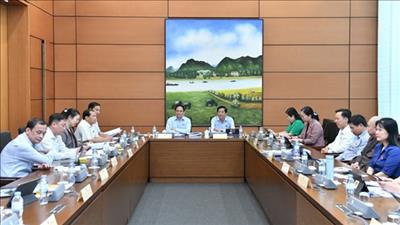 Đầu tư cho phát triển, ứng phó biến đổi khí hậu ở đồng bằng sông Cửu Long