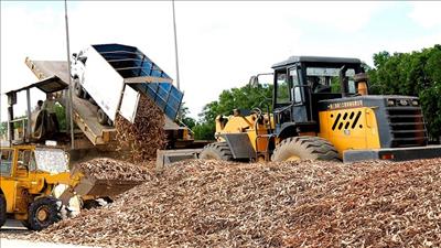 Tận dụng, chế biến phế phẩm của sắn để bảo vệ môi trường