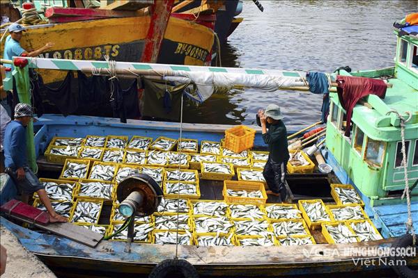 Thủ tướng: Chấm dứt tình trạng khai thác IUU vào 15/11 