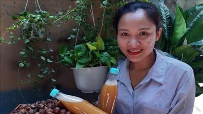 Chế biến xà phòng từ trái bồ hòn