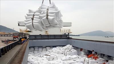 Tiềm năng lớn trong xuất khẩu nông sản Việt Nam 