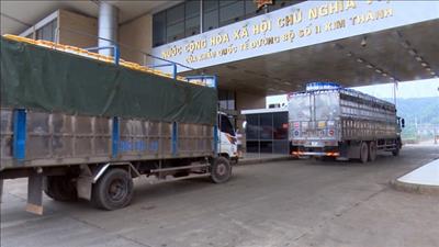 Thúc đẩy sản xuất, tháo gỡ khó khăn cho ngành nông nghiệp