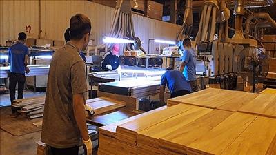 Sản phẩm đội lốt hàng Việt Nam xuất hiện cả trong và ngoài nước