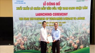 Chính thức xuất khẩu trái nhãn Việt Nam sang Nhật