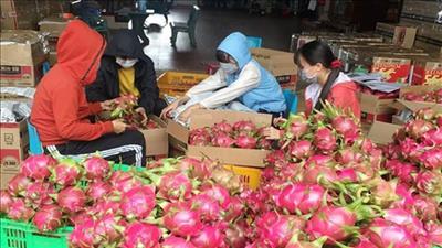 Giao lưu, xúc tiến thương mại nông sản, thực phẩm, đặc sản Việt Nam – Trung Quốc