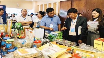 Hà Nội kết nối phát triển du lịch, thương mại cùng các tỉnh miền Trung
