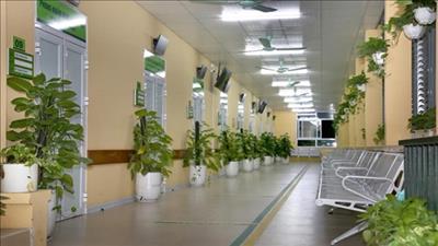 Hà Nội phấn đấu xây dựng cơ sở y tế xanh, giảm chất thải nhựa